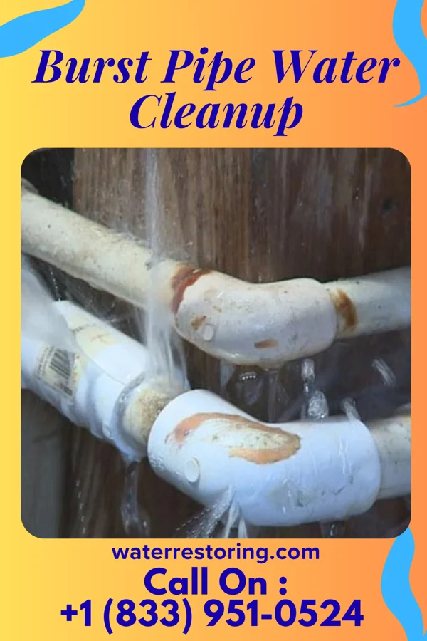Burst Pipe Water Cleanup in Lakeport, MI