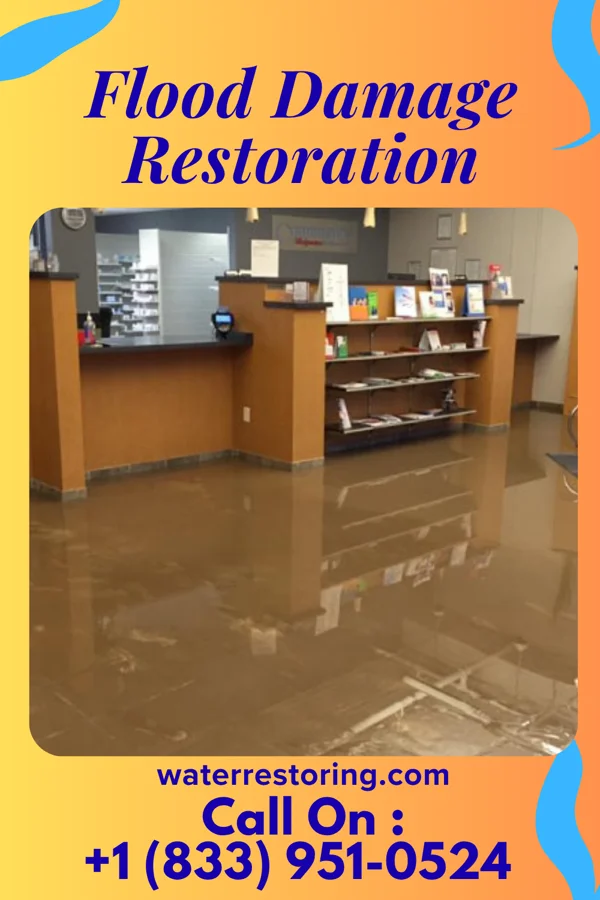 Flood Damage Restoration in Lakeport, MI