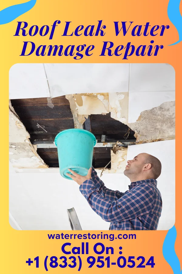 Roof Leak Water Damage Repair in Lakeport, MI
